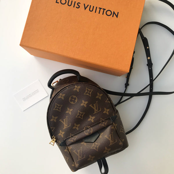 Louis Vuitton Palm Springs Mini Backpack